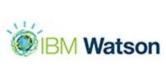 IBM Watson Logo