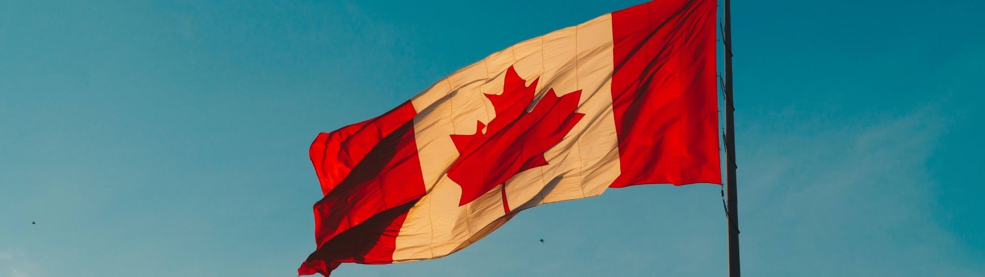 Canadian French Translation