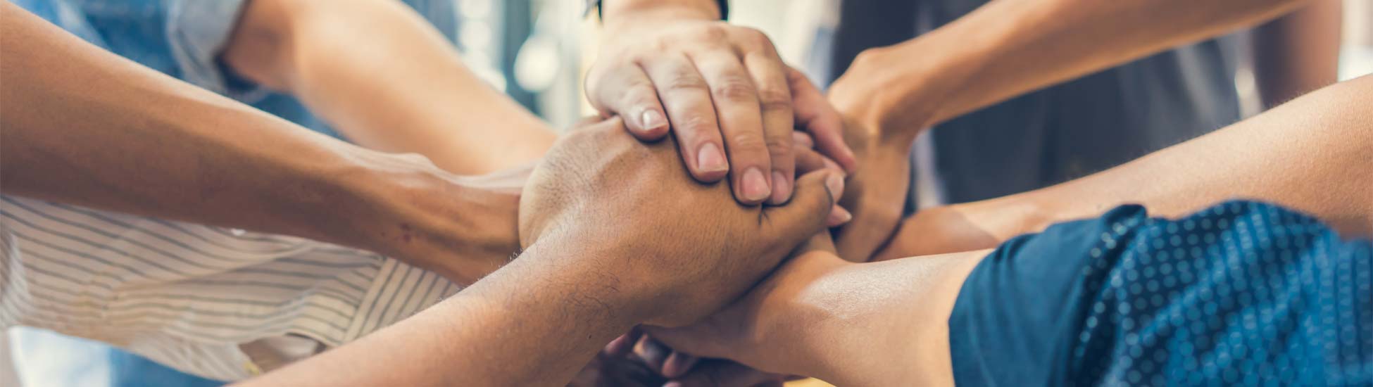 Partners And Memberships