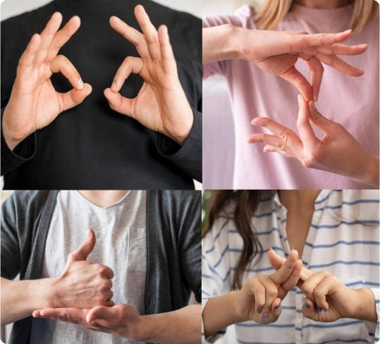 ASL interpretation services