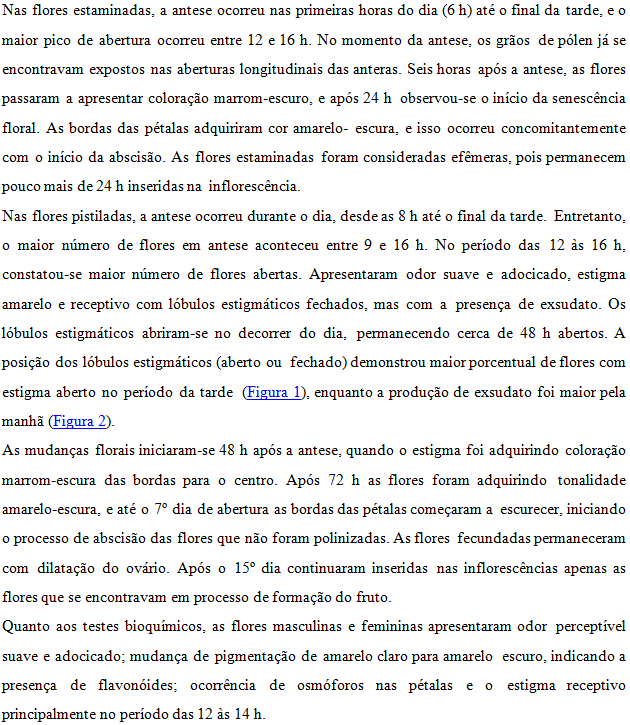 Original Document