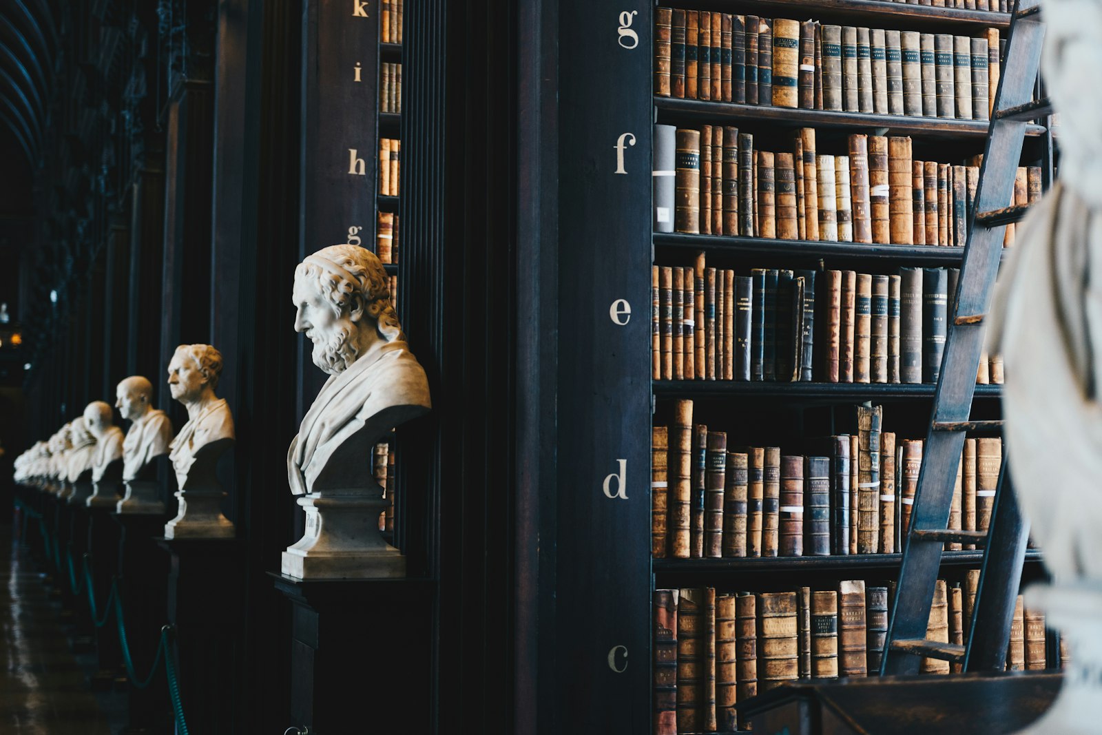Legal Translation Consulting