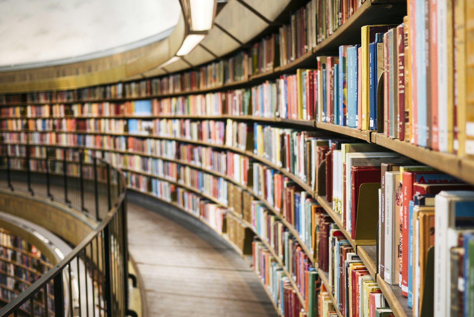 Post-Modern Economics Book Translation