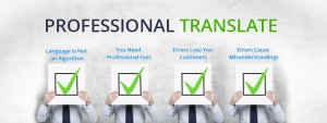 Professional Translator